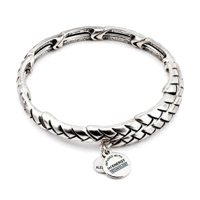 бижутерия,alex,and,ani,nature,bracelet,silver,(silver)