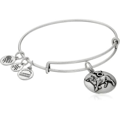 бижутерия,alex,and,ani,taurus,a16eb59rs,bracelet,silver,(silver)