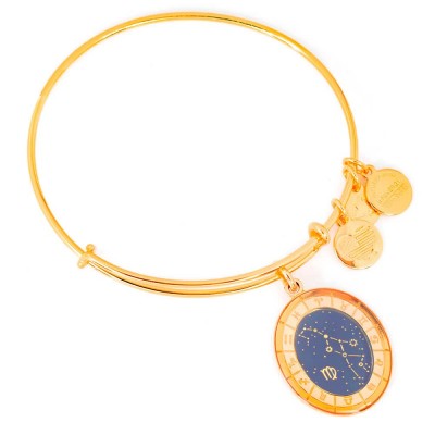 бижутерия,alex,and,ani,virgo,necklace,golden,(gold,blue)