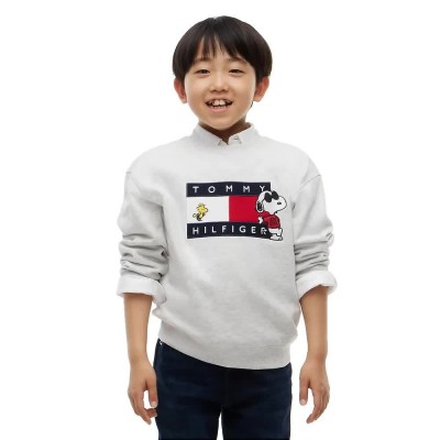 блуза,мъжки,пуловери,дамски,пуловери,tommy,hilfiger,peanuts,sweater,grey,(grey,heather)