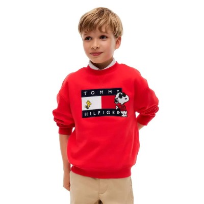 блуза,мъжки,пуловери,дамски,пуловери,tommy,hilfiger,peanuts,sweater,red,(red,glare)