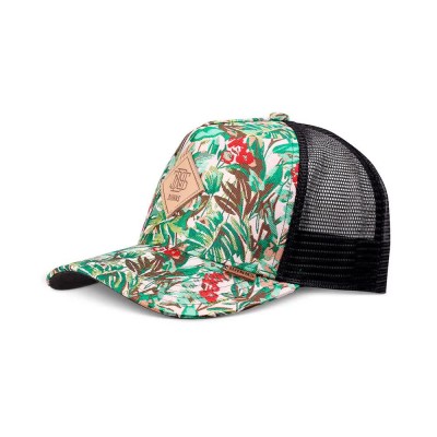 шапка,всички,шапки,djinns,1006155,cap,multicolor,(multi,green)
