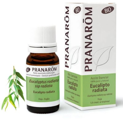 хигиена,тяло,galeo,eucalyptus,radiata,10ml,essencial,oil,clear