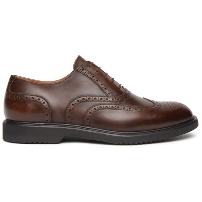 обувки,мъжки,обувки,nero,giardini,i601261u,shoes,brown,(brown)