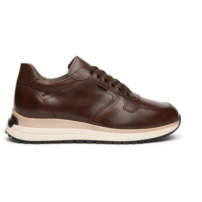 маратонки,мъжки,маратонки,дамски,маратонки,nero,giardini,i601301u,trainers,brown,(brown)
