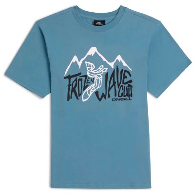 тениска,мъжки,тениски,дамски,тениски,o´neill,must,have,short,sleeve,t,shirt,blue,(mozart,blue)