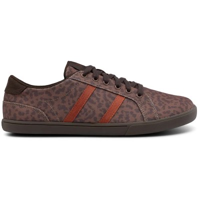 обувки,мъжки,маратонки,дамски,маратонки,xero,shoes,dillon,canvas,trainers,brown,(leopard)