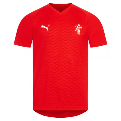облекла,за,хандбал,dänemark,puma,handball,herren,trikot