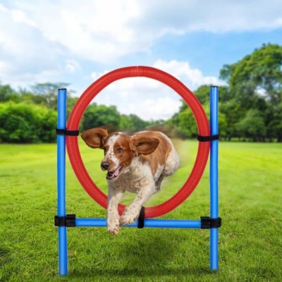 maxxpro,agility,spring,ring,set,agility,for,dogs