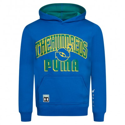 мъжки,суичър,мъжки,горнища,с,качулка,puma,x,the,hundreds,men,reversible,hoody