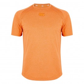 мъжки,тениски,ръгби,облекла,canterbury,elt,train,t,sn44,orange,grey