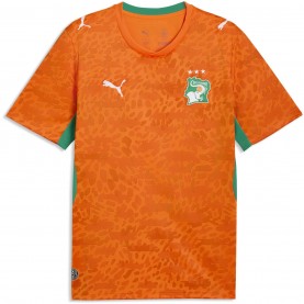 футболна,фланелка,футболни,фланелки,национални,отбори,puma,mens,ivory,coast,home,shirt,world,cup,2026™,orange,green