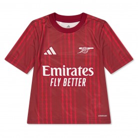 коледни,подаръци,за,деца,всички,коледни,подаръци,футболни,фланелки,английската,висша,лига,arsenal,детски,3/4,панталони,детски,тениски,облекла,с,футболна,те