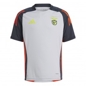 Детска тениска Adidas Slb Tr Jsy Y T-Shirt Unisex Kids - Lgh Solid Grey детска,тениска,футболни,фланелки,aston,villa,sheffield,wednesday,hertha,berlin,турска,суперлига,фланелки,от,различни,клубове,разпродажба,adidas,детски,3/4,