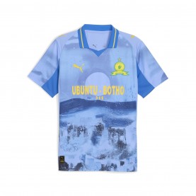 футболна,фланелка,футболни,фланелки,aston,villa,sheffield,wednesday,hertha,berlin,турска,суперлига,фланелки,от,различни,клубове,puma,mamelodi,sundowns,club