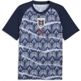 футболни,фланелки,национални,отбори,австрия,футболни,фланелки,разпродажба,puma,мъжки,тениски,облекла,с,футболна,тема,puma,mens,austria,warm,up,shirt,world,