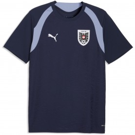 футболни,фланелки,национални,отбори,австрия,футболни,фланелки,разпродажба,puma,мъжки,тениски,облекла,с,футболна,тема,puma,mens,austria,training,shirt,world