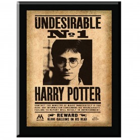 трофеи,harry,potter,harry,potter,undesirable,plaque,multi,format,and,universal