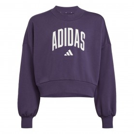 разпродажба,adidas,детски,блузи,детски,облекла,adidas,clgt,ft,swt,jn61,plum,white