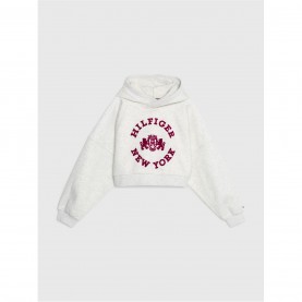 промоция,на,зимни,облекла,tommy,hilfiger,crest,hoodie,sweatshirt,juniors,lgt,grey,p1n