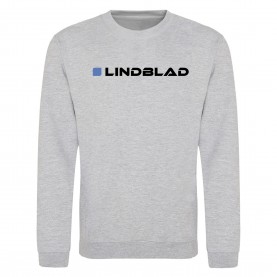 Блуза AWD Adults Printed F1 Sweatshirt - Lindblad блуза,мъжки,горнища,размер+,awd,adults,printed,f1,sweatshirt,lindblad