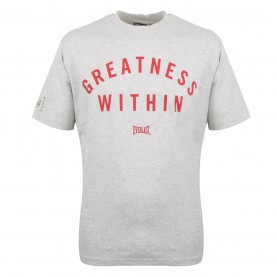 everlast,greatness,t,sn53,grey,red
