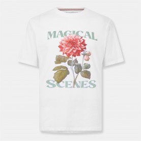 тениска,облекла,на,разпродажба,мъжки,тениски,threadbare,tb,tee,calton,sn99,white