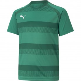 Детска тениска Puma Teamvision Jersey Jr T-Shirt Unisex Kids - PGrn-PGrn-Wht детска,тениска,детски,тениски,футболни,горнища,puma,teamvision,jersey,jr,t,shirt,unisex,kids,pgrn,pgrn,wht