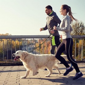 за,домашни,любимци,аксесоари,на,разпродажба,waggy,tails,reflective,leash,52,black,green
