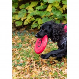 за,домашни,любимци,аксесоари,на,разпродажба,trespaws,dog,tether,99,not,applicable