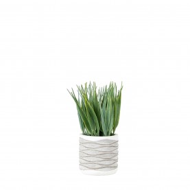 Gallery Grass Wvy Ptx2 99 - Green аксесоари,на,разпродажба,gallery,grass,wvy,ptx2,99,green