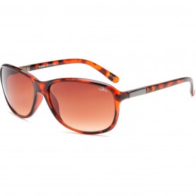 bloc,bee,ld53,tort,brown