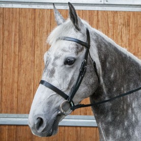 екипировка,за,езда,юзди,и,аксесоари,requisite,snaffle,bridle,with,reins,black