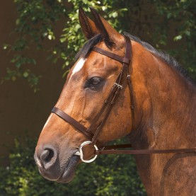 екипировка,за,езда,юзди,и,аксесоари,requisite,snaffle,bridle,with,reins,havana