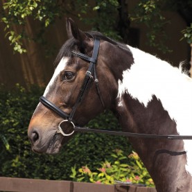 екипировка,за,езда,юзди,и,аксесоари,requisite,raised,bridle,and,reins,black