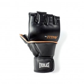 everlast,titan,mma,grappling,gloves,black