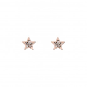 аксесоари,на,разпродажба,ted,baker,sidney,earrings,rose,gold,tone