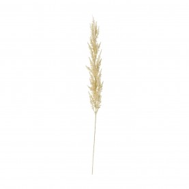 аксесоари,на,разпродажба,gallery,pmps,grass,3pk,99,cream