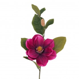 gisela,graham,gisela,spray,1,99,fuschia