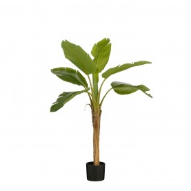 градина,/,на,открито,аксесоари,на,разпродажба,mica,banana,tree,in,pot,green,green