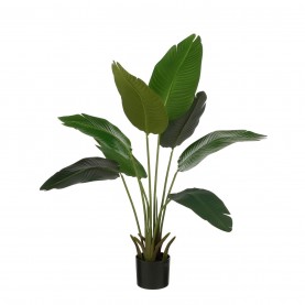 градина,/,на,открито,аксесоари,на,разпродажба,mica,banana,tree,in,pot,green,green