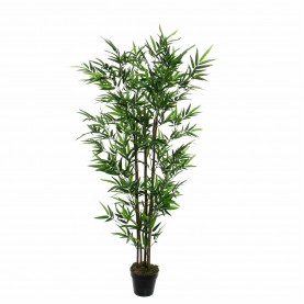 градина,/,на,открито,аксесоари,на,разпродажба,mica,bamboo,in,pot,green,green