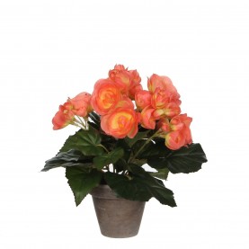 градина,/,на,открито,аксесоари,на,разпродажба,mica,begonia,in,pot,stan,grey,salmon