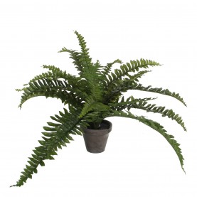 градина,/,на,открито,аксесоари,на,разпродажба,mica,boston,fern,green,in,pot,stan,grey,green
