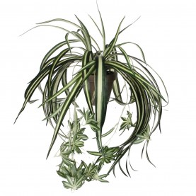 градина,/,на,открито,аксесоари,на,разпродажба,mica,chlorophytum,green,in,pot,stan,grey,green