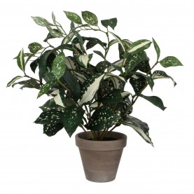 градина,/,на,открито,аксесоари,на,разпродажба,mica,cordyline,green,in,pot,stan,grey,green