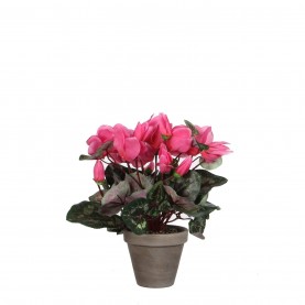 градина,/,на,открито,аксесоари,на,разпродажба,mica,cyclamen,in,pot,stan,grey,pink