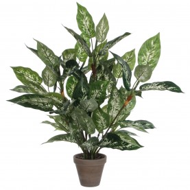 градина,/,на,открито,аксесоари,на,разпродажба,mica,dieffenbachia,green,in,pot,stan,grey,green