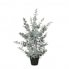 градина,/,на,открито,аксесоари,на,разпродажба,mica,eucalyptus,in,pot,green,green