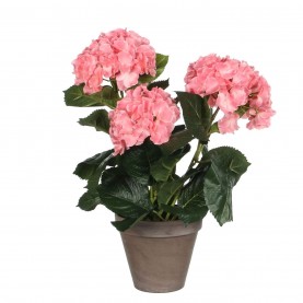 градина,/,на,открито,аксесоари,на,разпродажба,mica,hydrangea,in,pot,stan,grey,pink